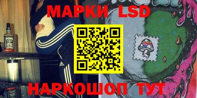 стафф Будённовск
