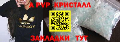 стафф Будённовск