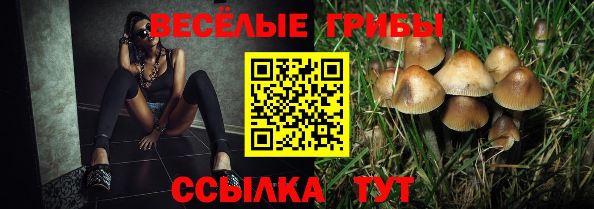 Псилоцибиновые грибы Cubensis  продажа наркотиков  Кунгур  Галлюциногенные грибы Cubensis  Вход с VPN 